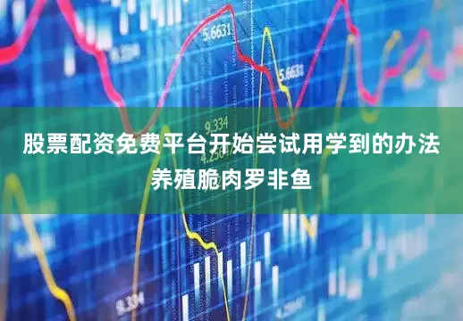 股票配资免费平台开始尝试用学到的办法养殖脆肉罗非鱼