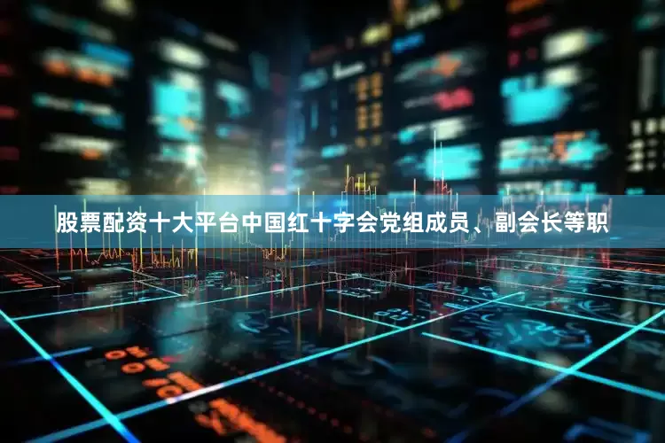 股票配资十大平台中国红十字会党组成员、副会长等职