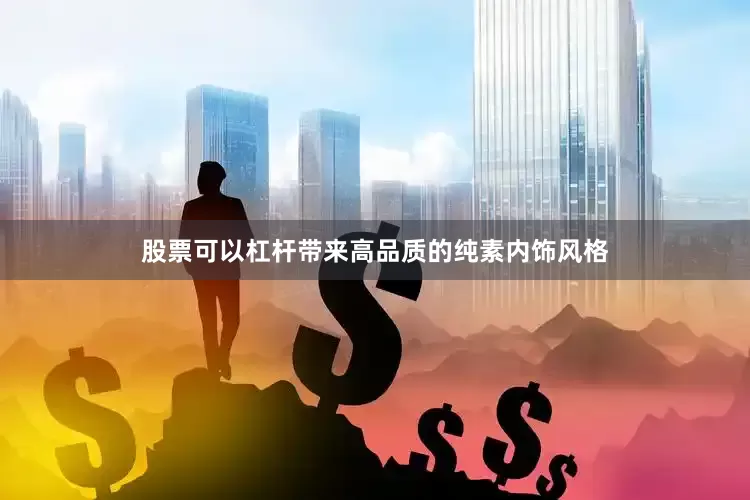 股票可以杠杆带来高品质的纯素内饰风格