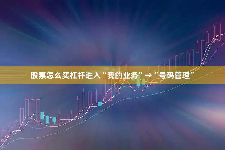 股票怎么买杠杆进入“我的业务”→“号码管理”