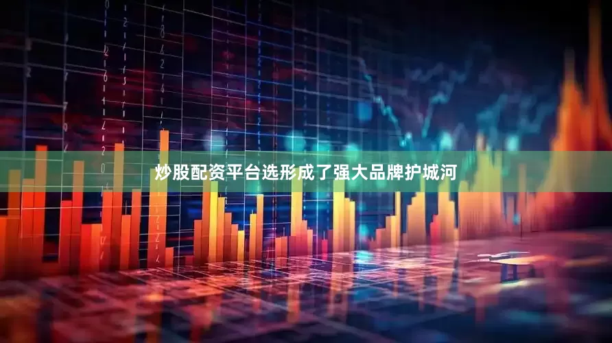 炒股配资平台选形成了强大品牌护城河